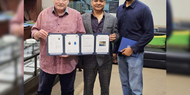 Gold Sheen Sapphire: Attaining the Title of Second Rarest Gemstone