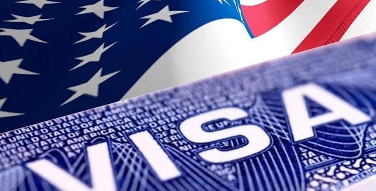 50% Decline In Indian Student Visa Arrivals, US To Face $7 Billion Loss
